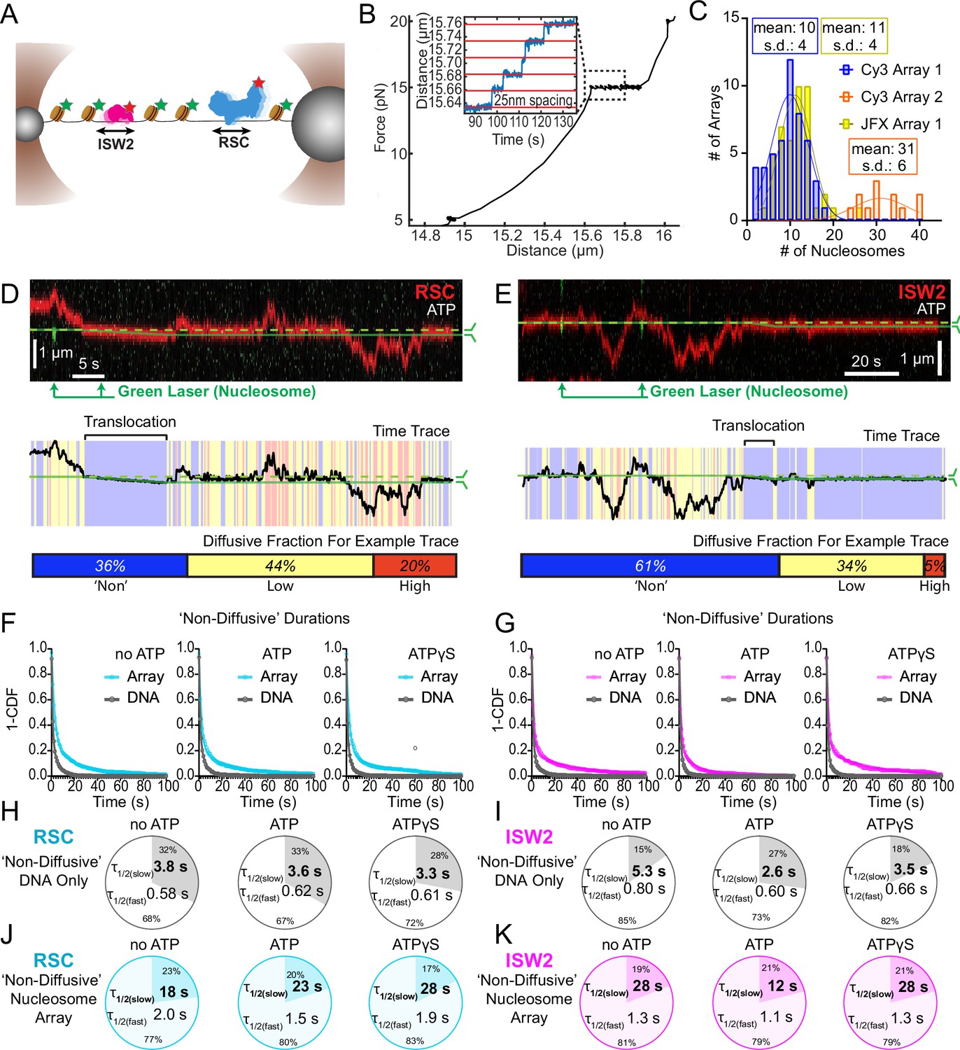 Dynamic 1D search and processive nucleosome translocations by RSC 