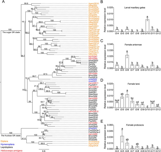 The larva and adult of Helicoverpa armigera use differential gustatory ...