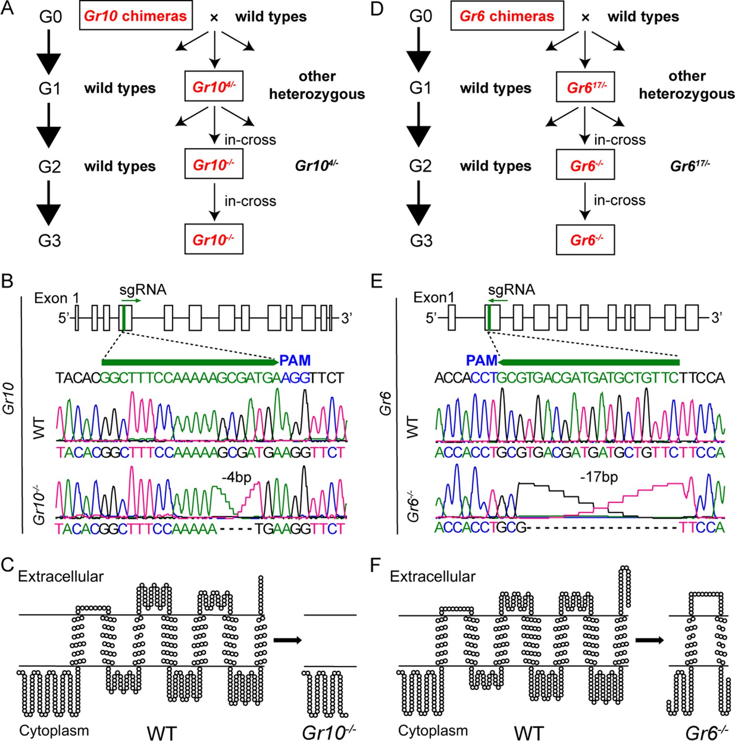 Figures and data in The larva and adult of Helicoverpa armigera use ...