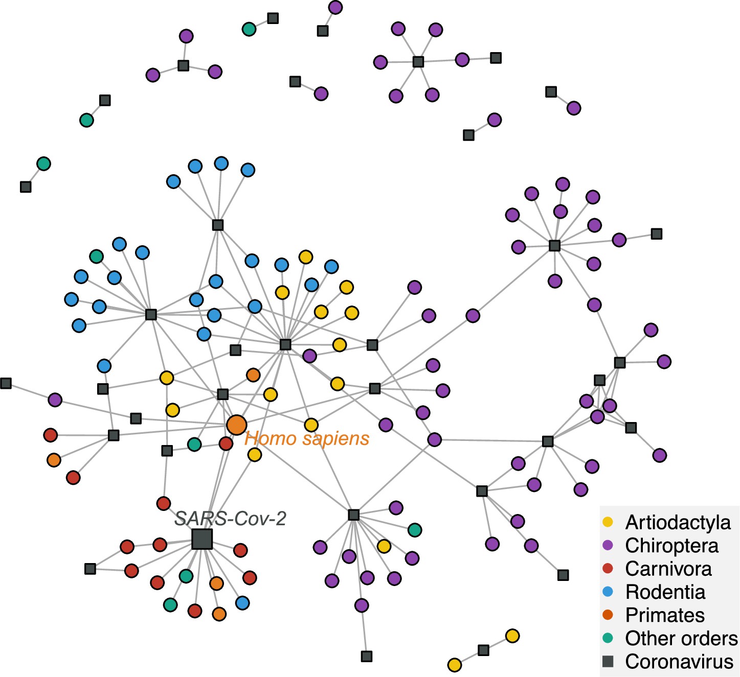 Recent evolutionary origin and localized diversity hotspots