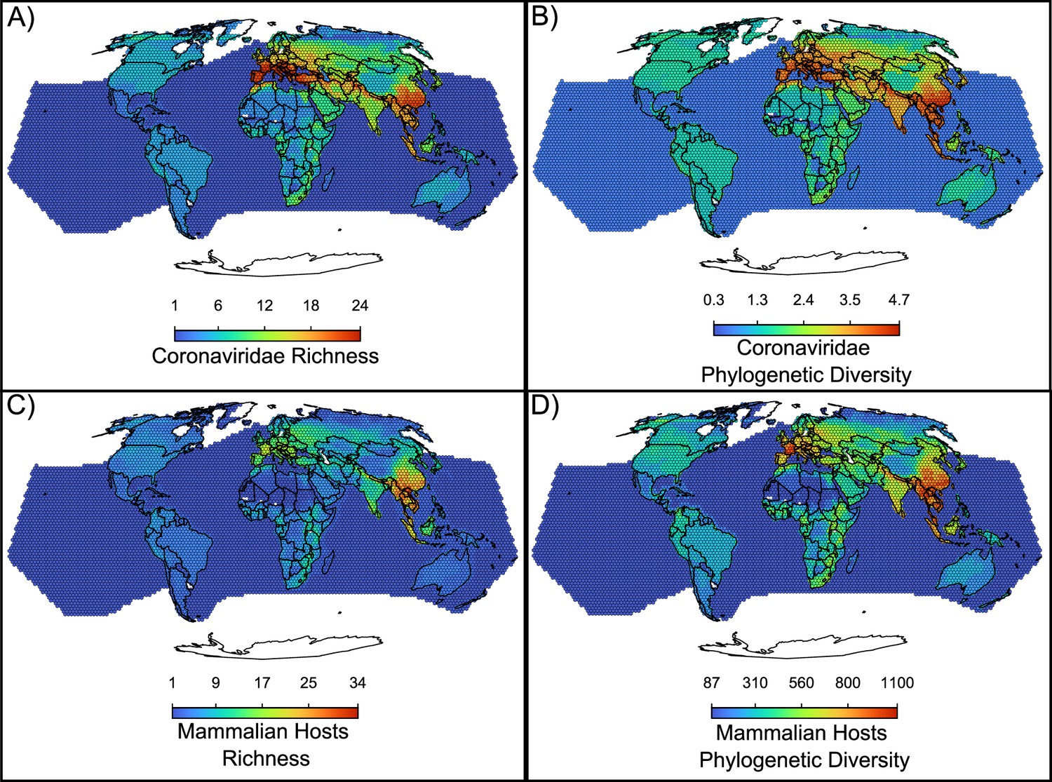 Recent evolutionary origin and localized diversity hotspots