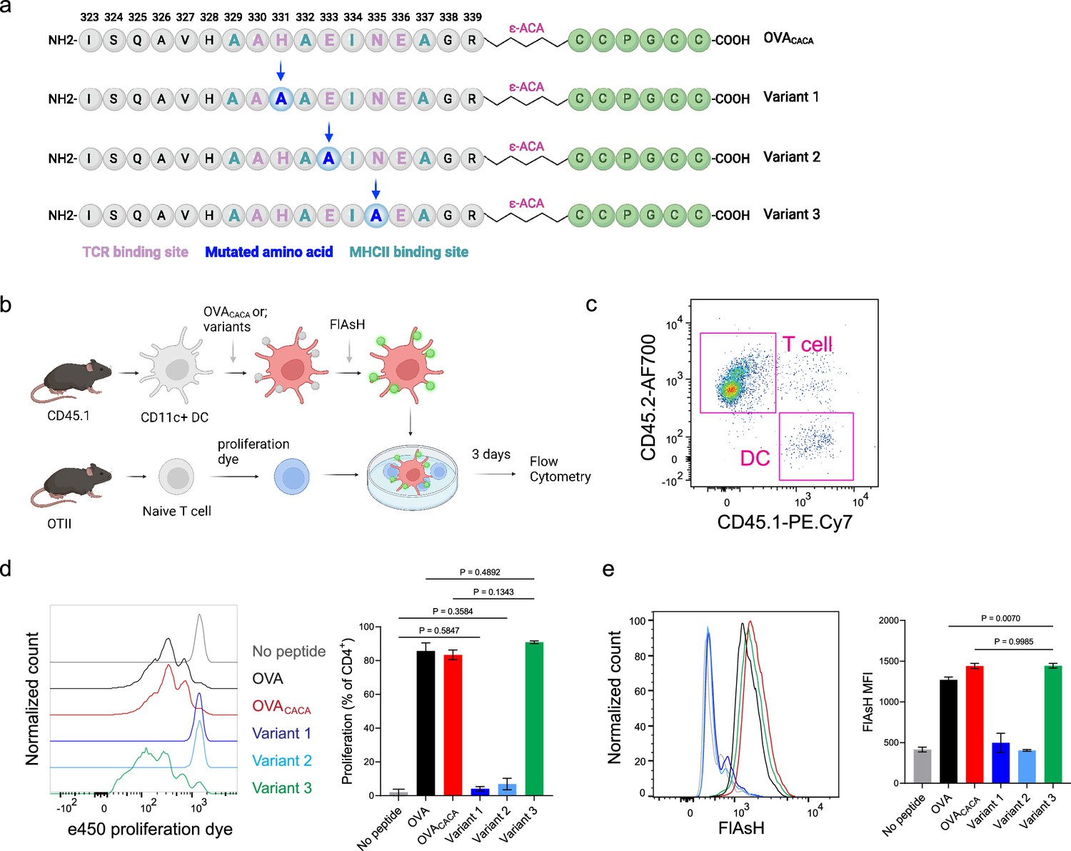 Illuminating T cell-dendritic cell interactions in vivo by FlAsHing ...