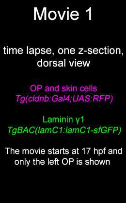 posterframe for video