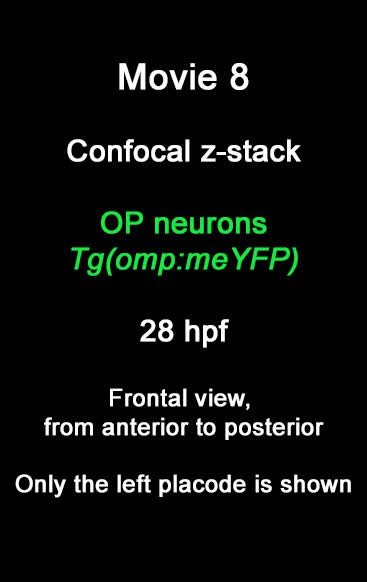 posterframe for video