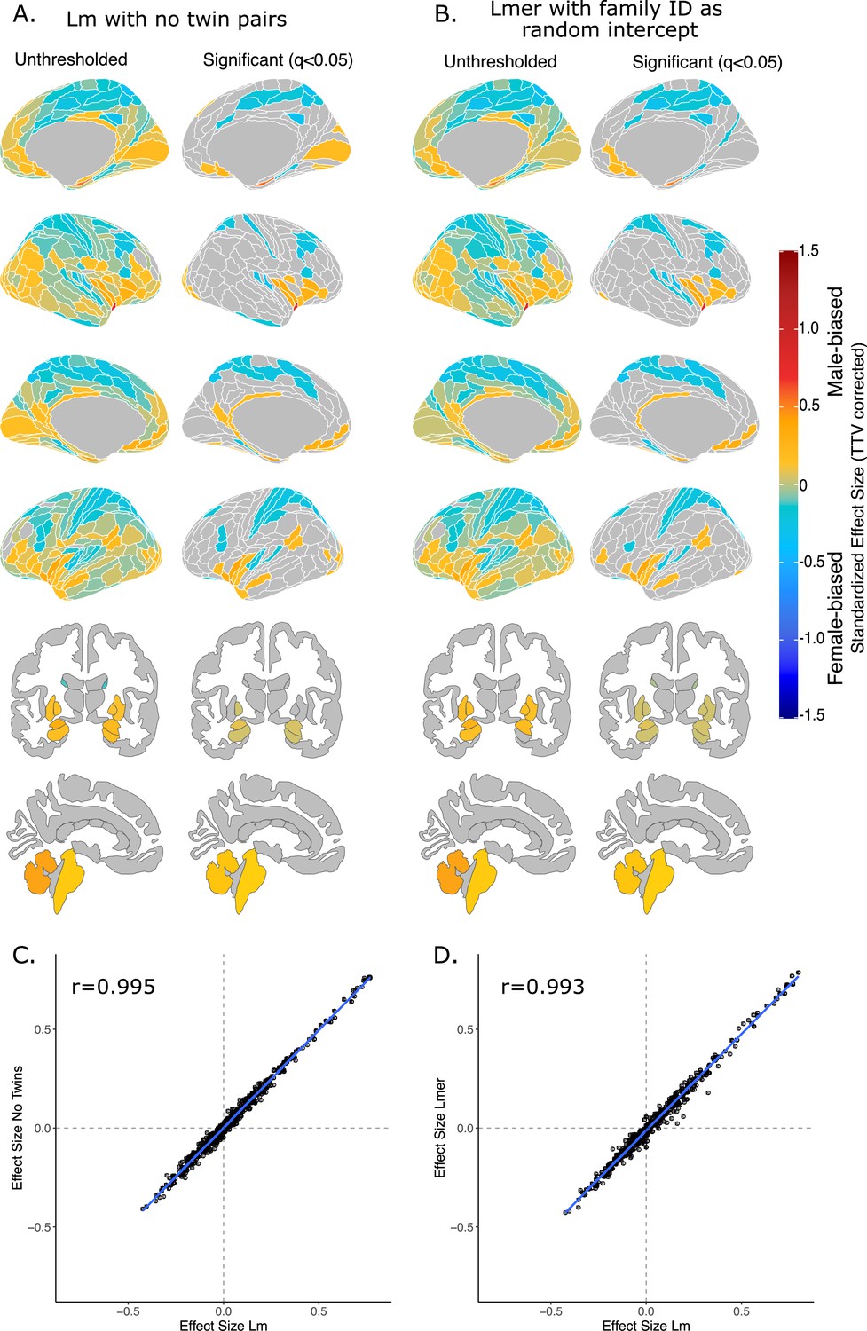 Comparative Neuroimaging Of Sex Differences In Human And Mouse Brain Anatomy Elife