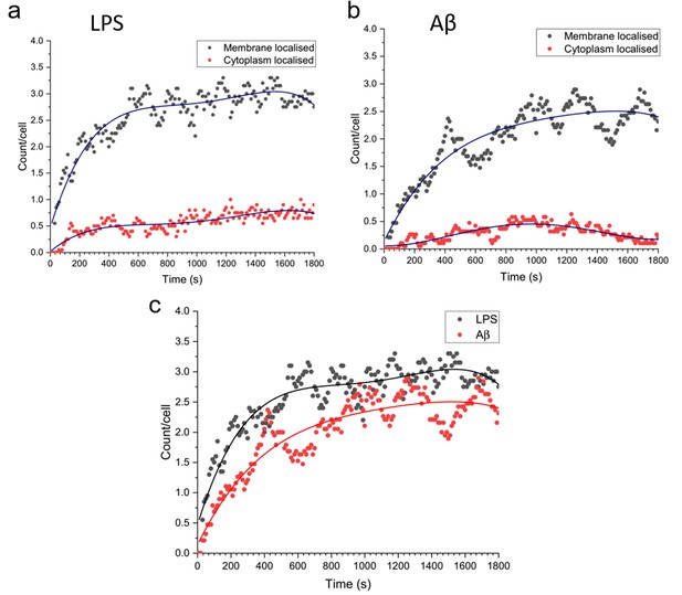 The delayed kinetics of Myddosome formation explains why amyloid-beta ...