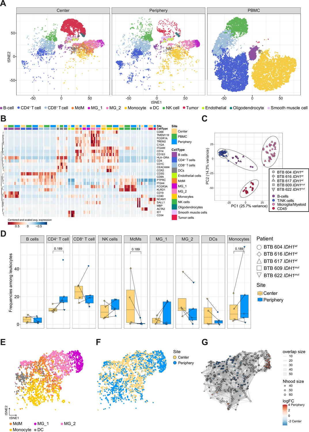 Single-cell characterization of human GBM reveals regional differences ...