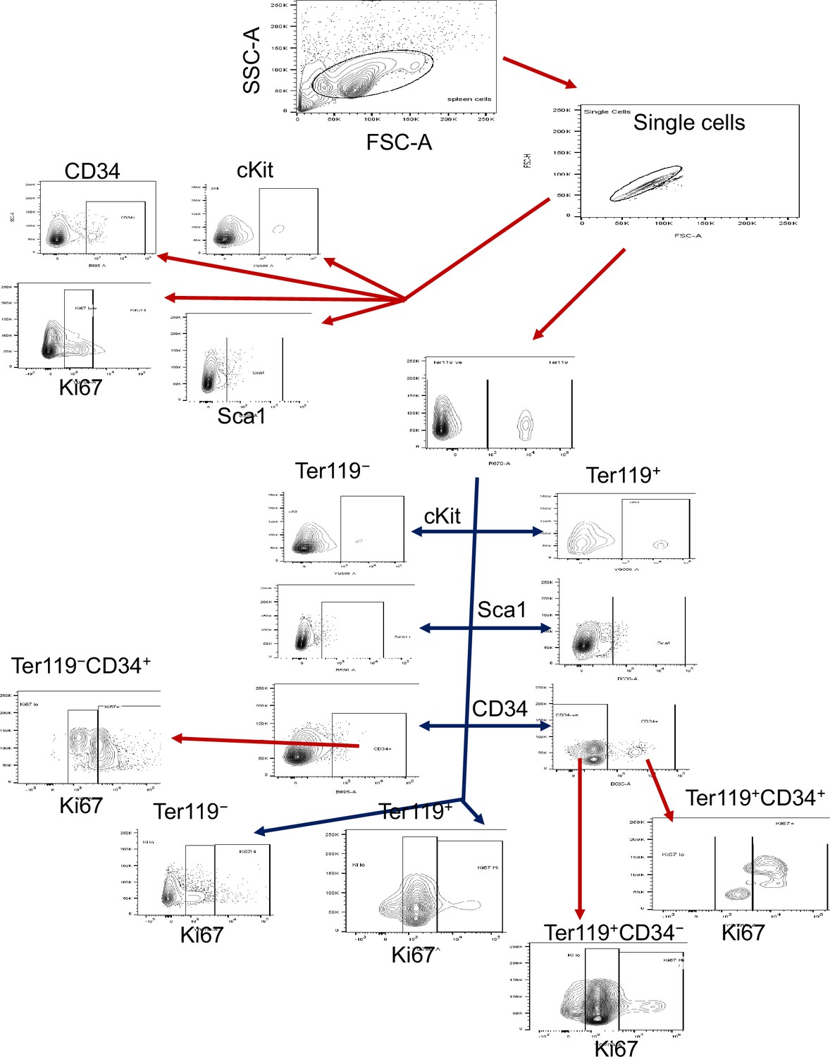 Figures and data in Differential regulation by CD47 and thrombospondin ...