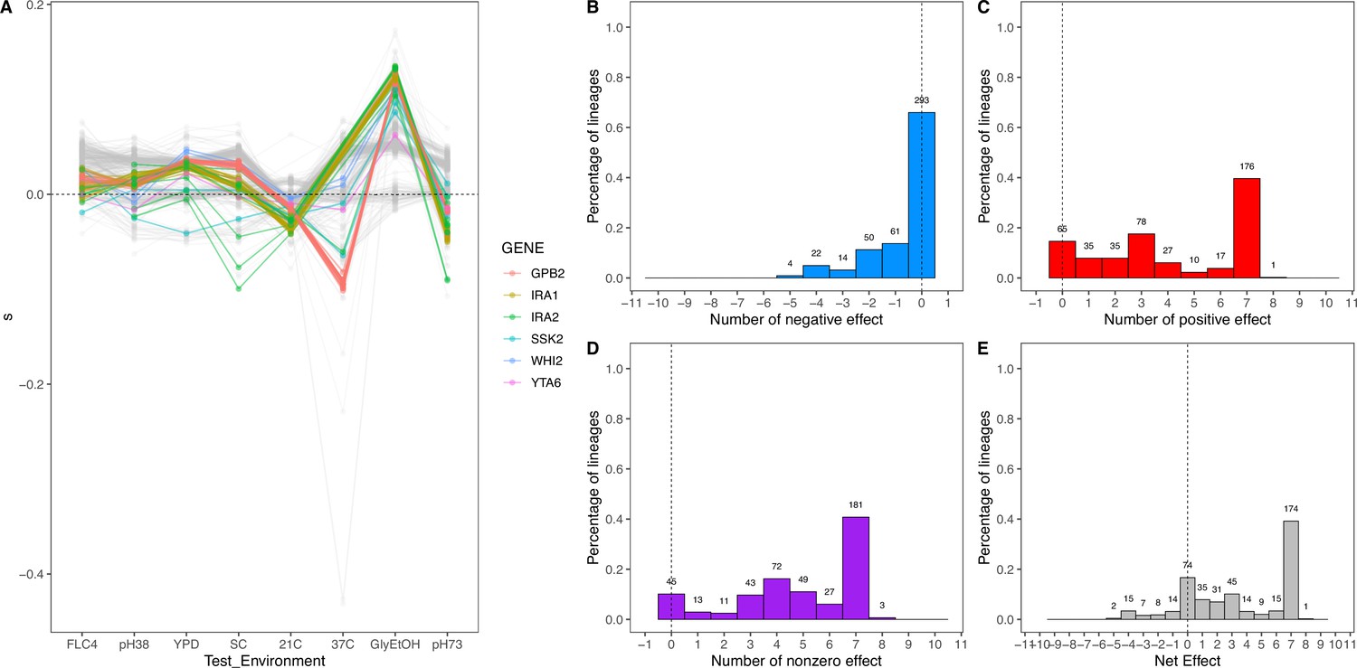 Evolution of haploid and diploid populations reveals common, strong ... Biology Diagrams