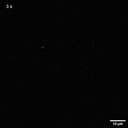 posterframe for video