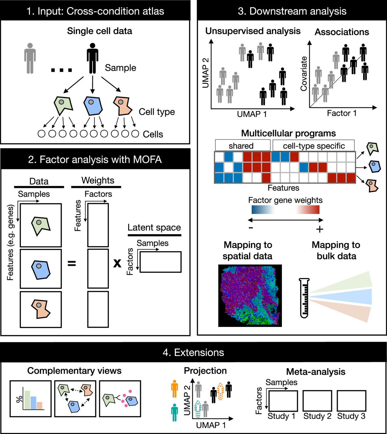 Multicellular factor analysis of single-cell data for a tissue-centric ...