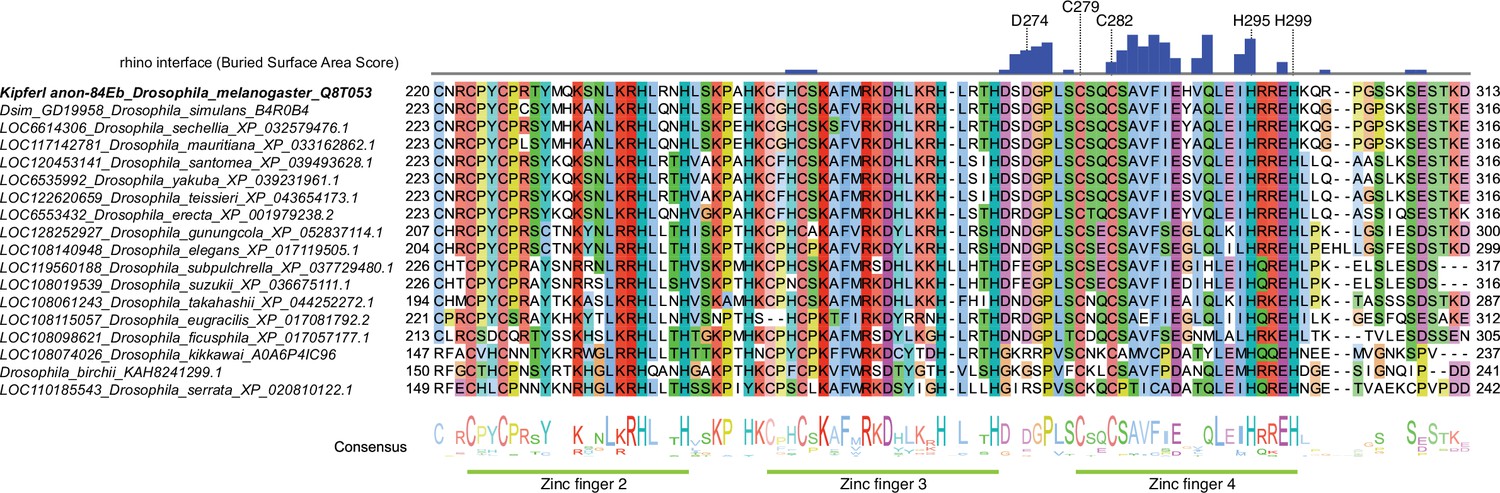 Figures And Data In Evolutionary Adaptation Of An HP1 Protein