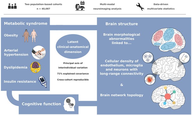 A latent clinical-anatomical dimension relating metabolic syndrome to ...