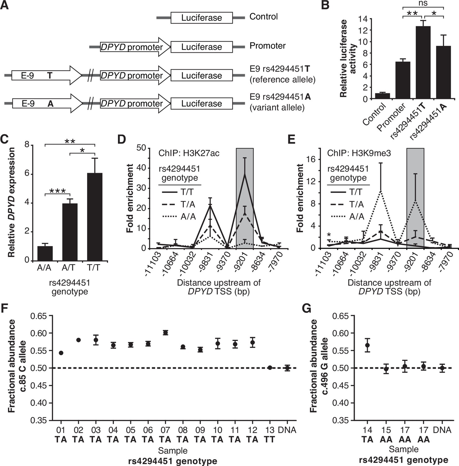 Germline Cis Variant Determines Epigenetic Regulation Of The Anti 