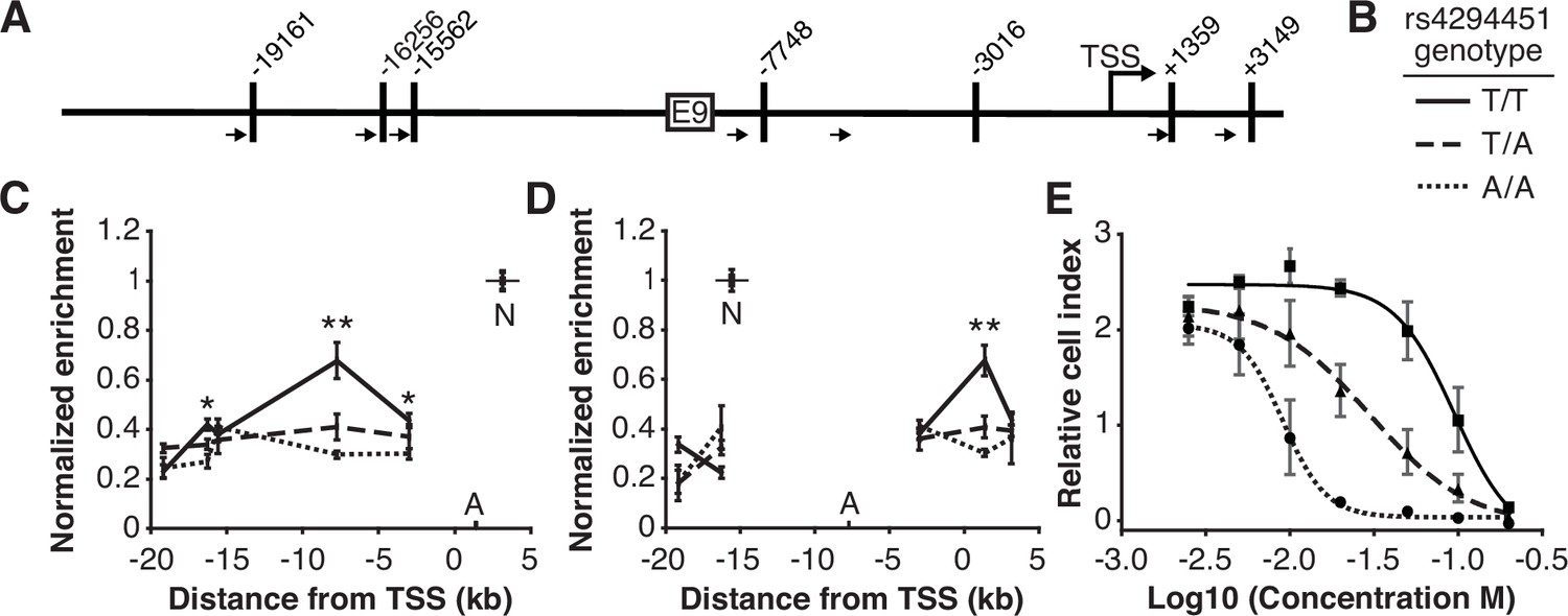 Germline cis variant determines epigenetic regulation of the anti ...