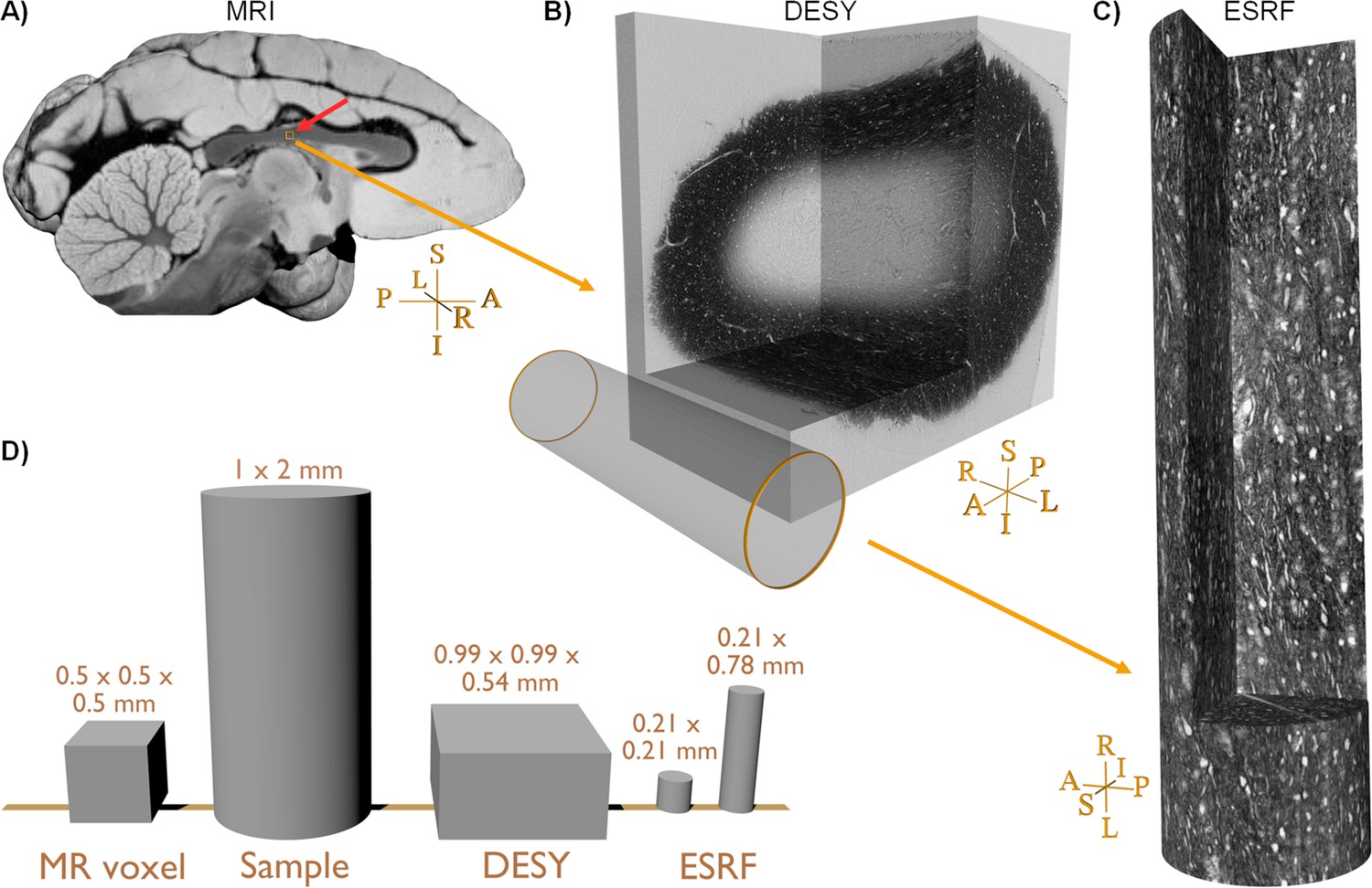Bridging the 3D geometrical organisation of white matter