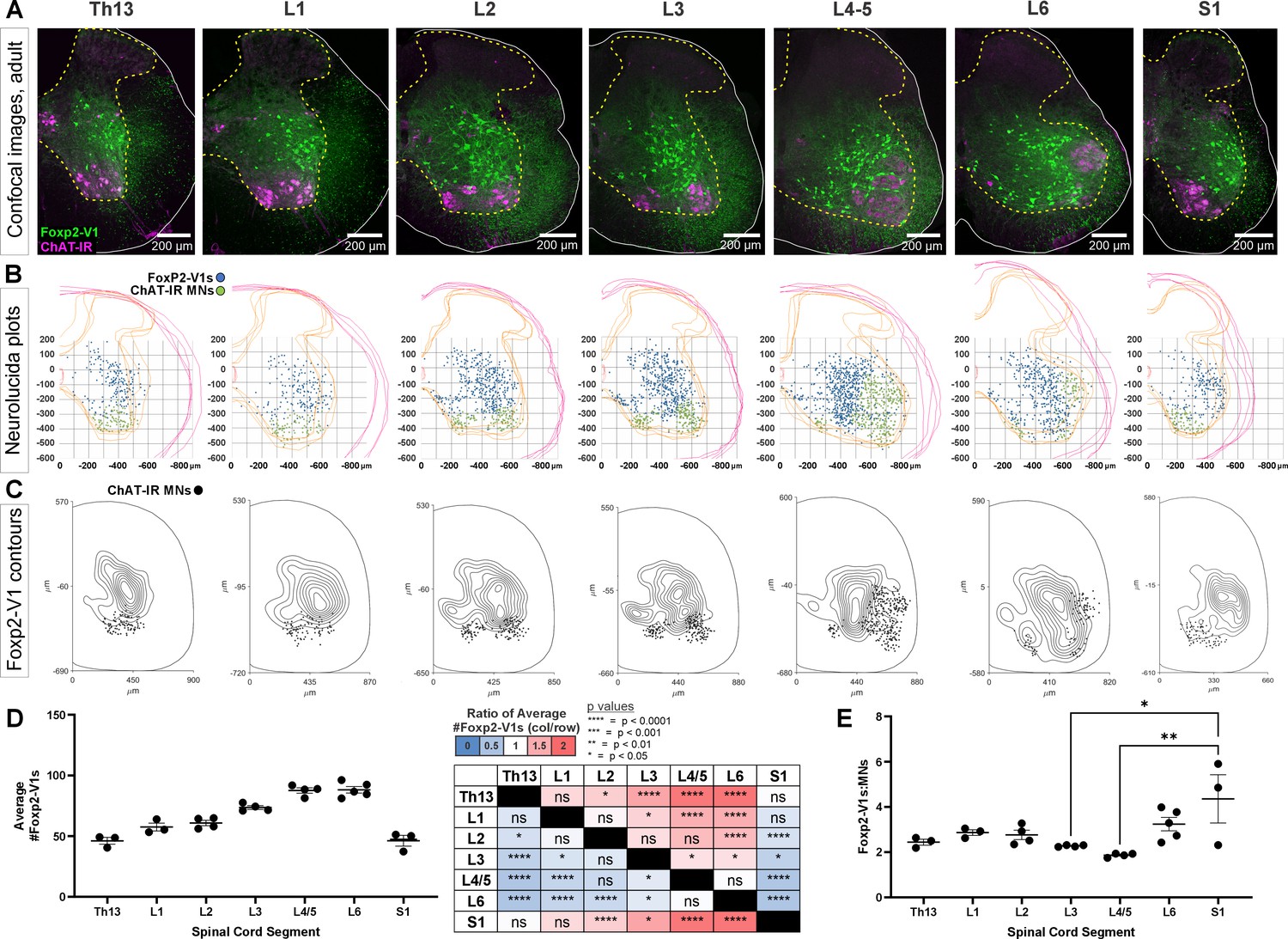 Gastrointestinal Neurons Expressing HCN4 Regulate Retrograde