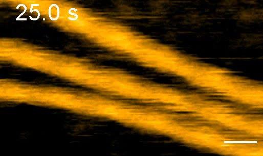 posterframe for video