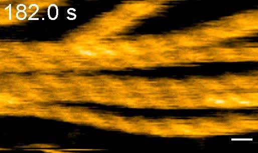 posterframe for video