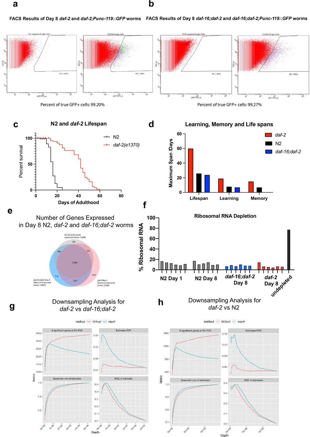 The neuron-specific IIS/FOXO transcriptome in aged animals