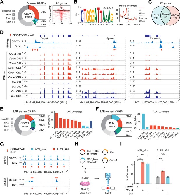 Obox4 promotes zygotic genome activation upon loss of Dux | eLife