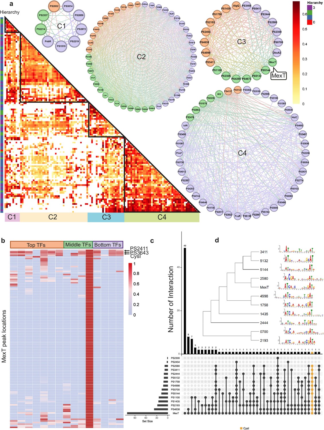 Architecture of genome-wide transcriptional regulatory