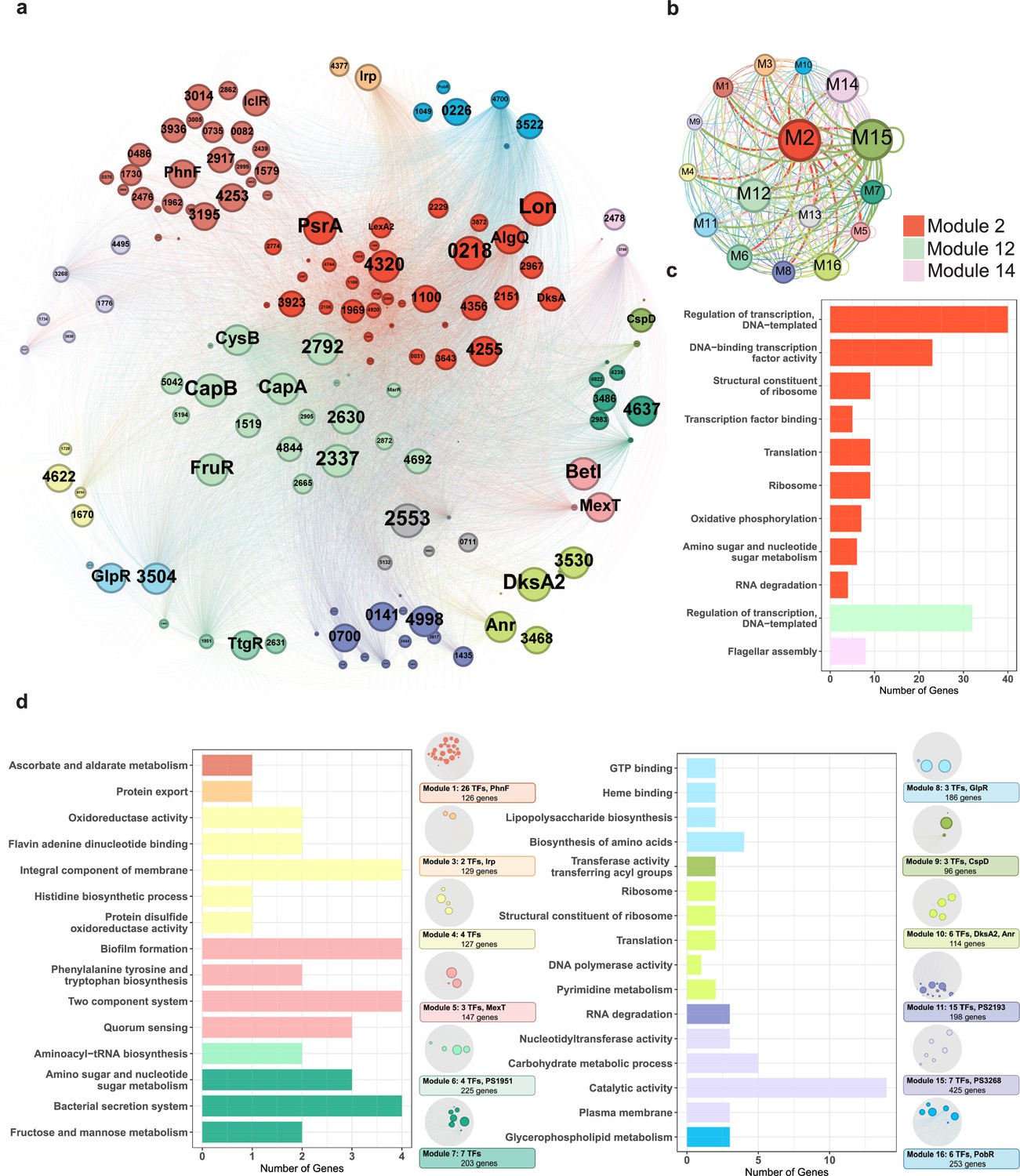 Architecture of genome-wide transcriptional regulatory