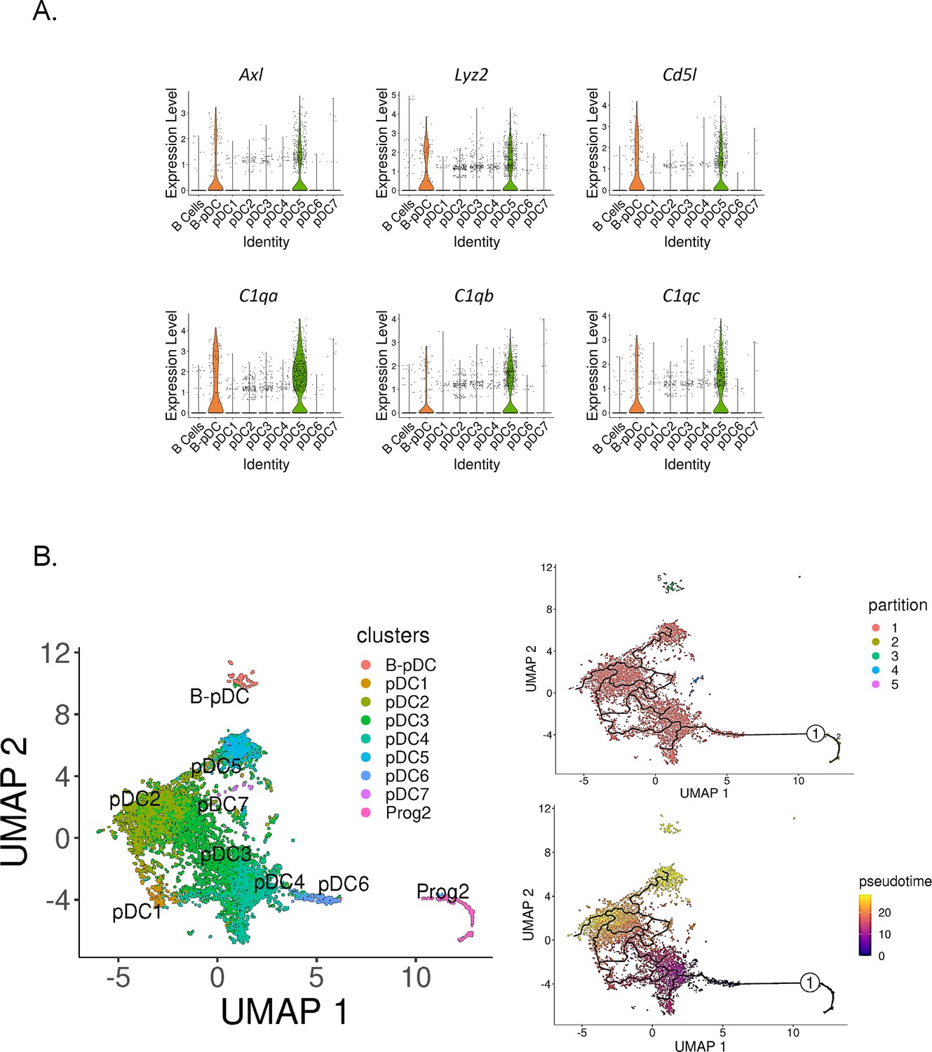 Lymphoid origin of intrinsically activated plasmacytoid