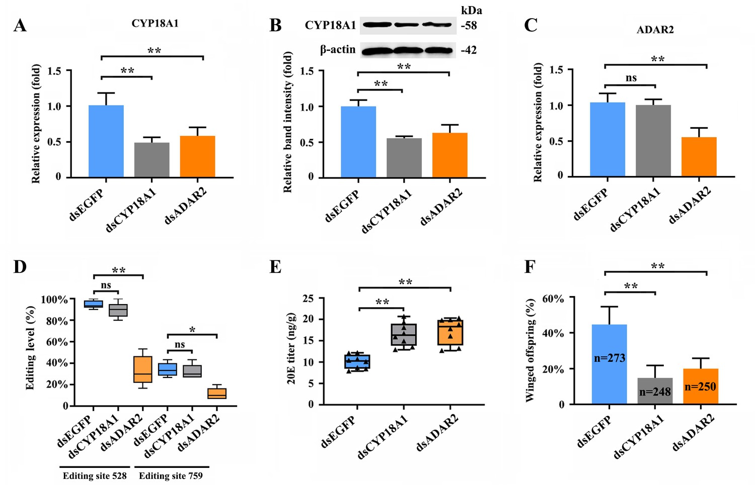 A-to-I RNA editing of CYP18A1 mediates transgenerational