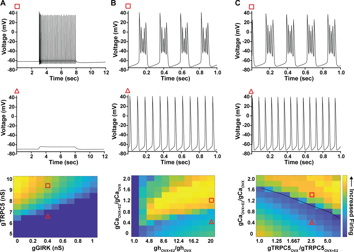 Estradiol elicits distinct firing patterns in arcuate