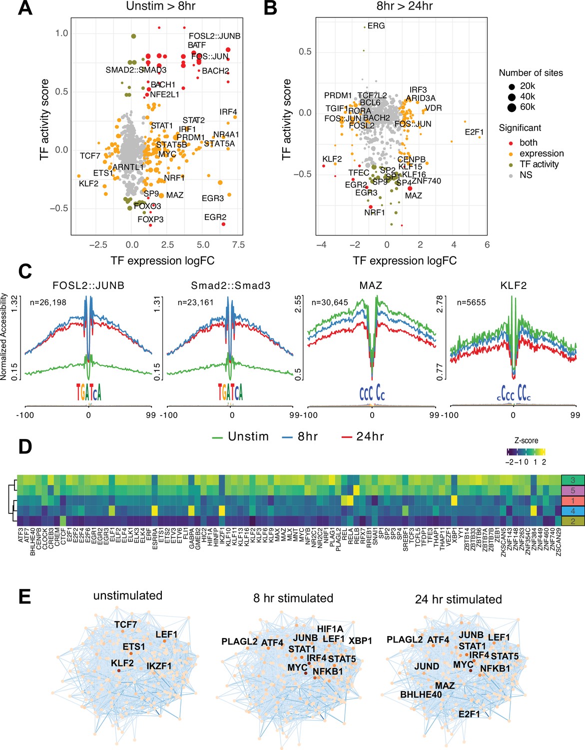 Figures and data in Dynamic chromatin architecture identifies new ...