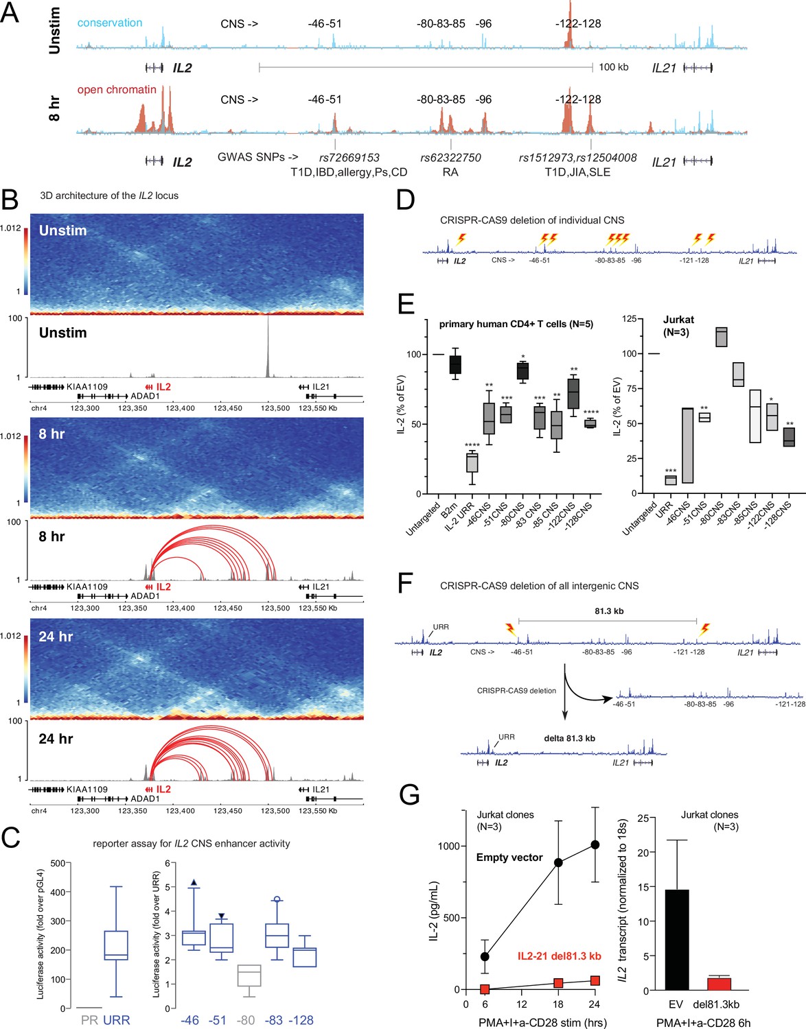 Figures and data in Dynamic chromatin architecture identifies new ...