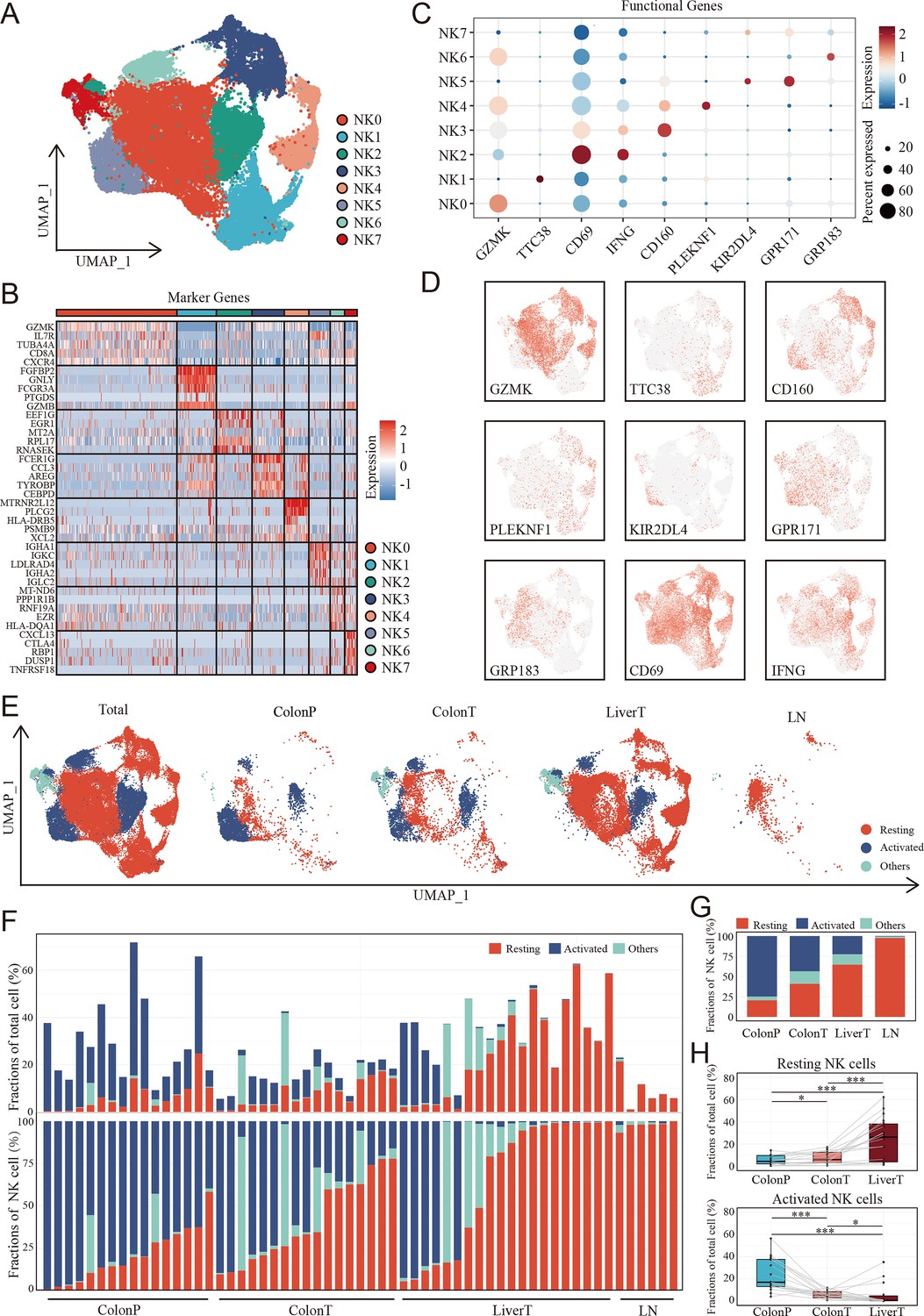 Resting natural killer cells promote the progress of colon