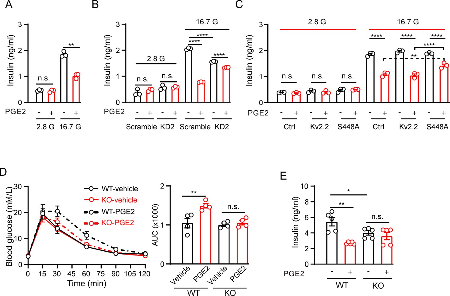 The Kv2.2 channel mediates the inhibition of prostaglandin The Kv2.2 channel mediates the inhibition of prostaglandin