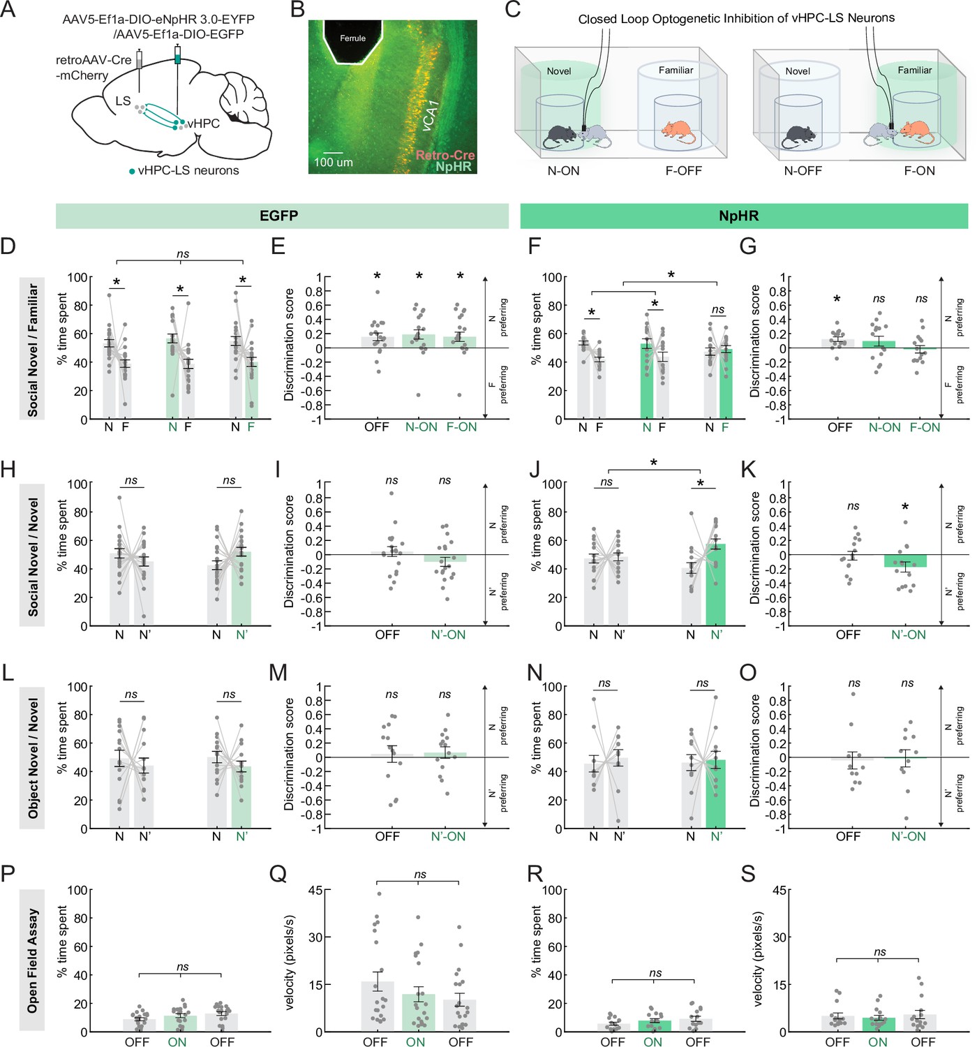 A ventral hippocampal-lateral septum pathway regulates