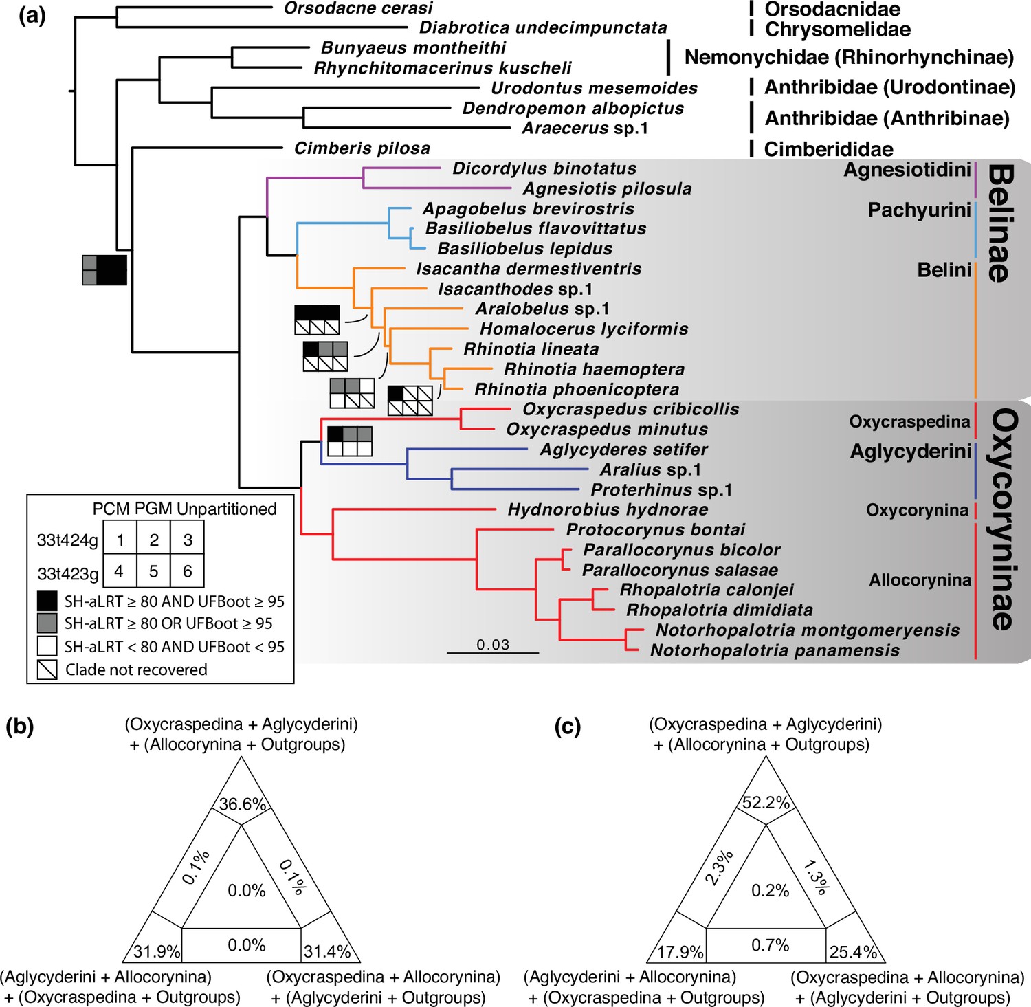 Figures and data in The evolutionary history of the ancient weevil ...