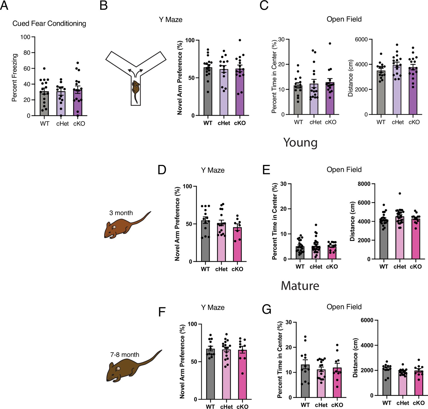Microglia aging in the hippocampus advances through