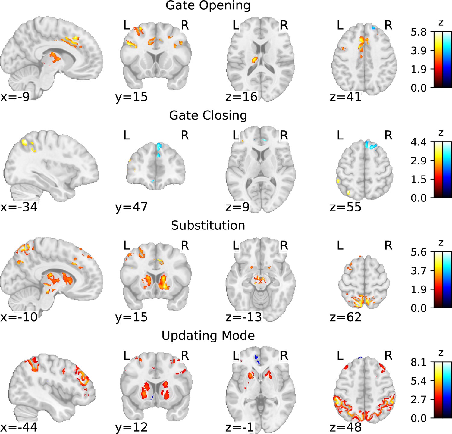 Investigating working memory updating processes of the human