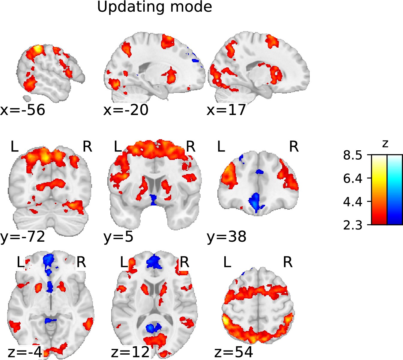 Investigating working memory updating processes of the human